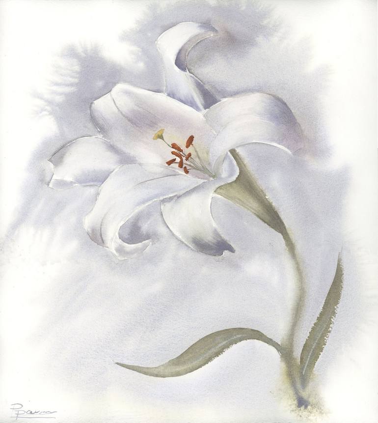 lily flower painting