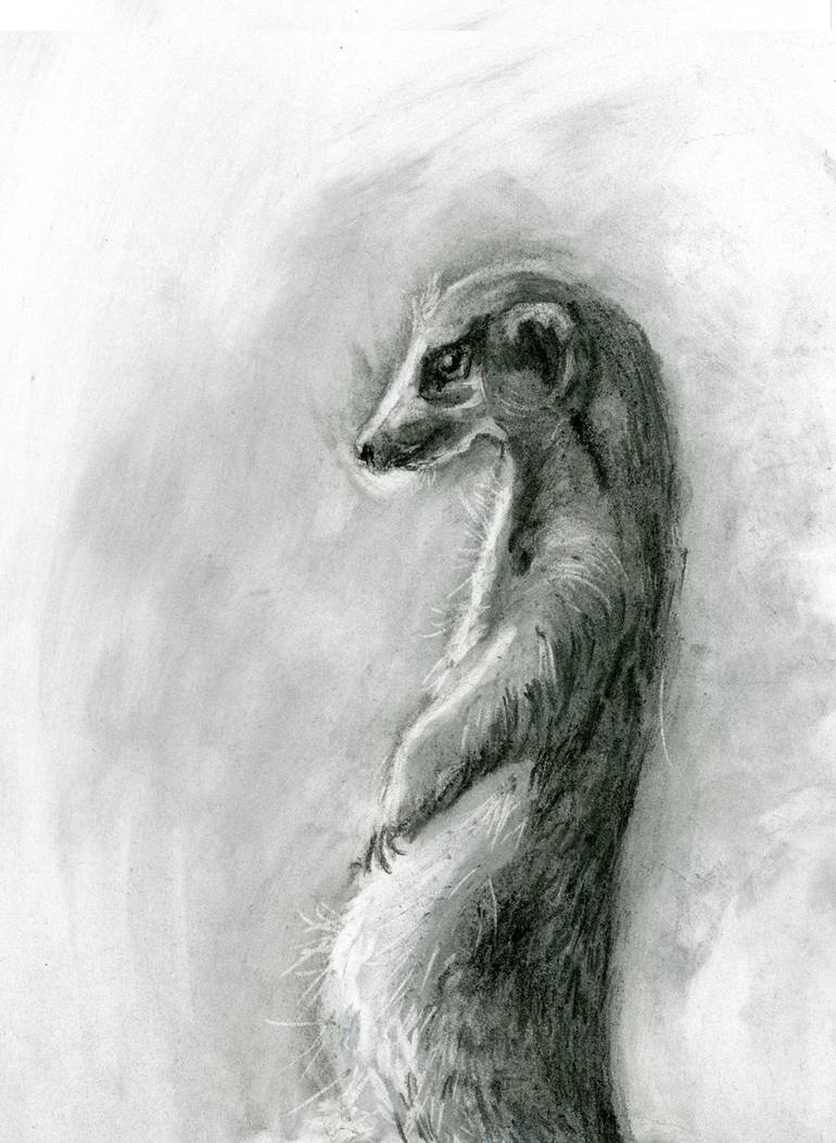 Original Animal Drawing by Olga Tchefranov