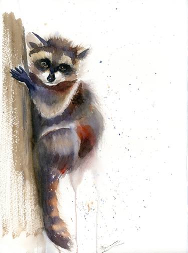 Raccoon on the tree thumb