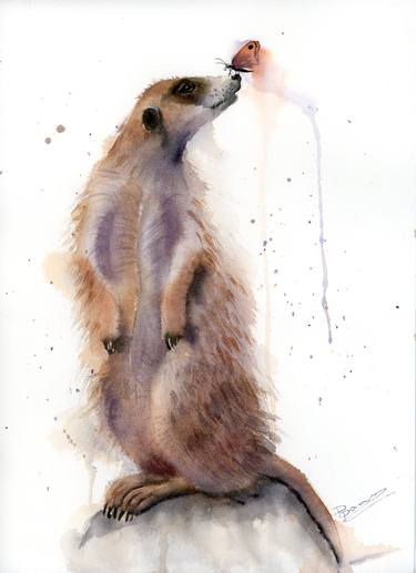 Meerkat with butterfly thumb
