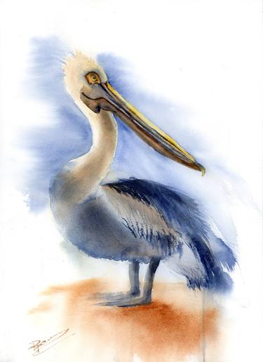 Pelican thumb