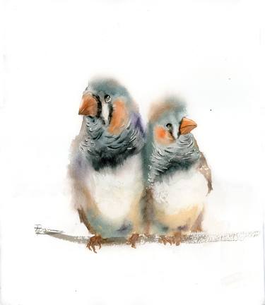 Pair of zebra finches thumb