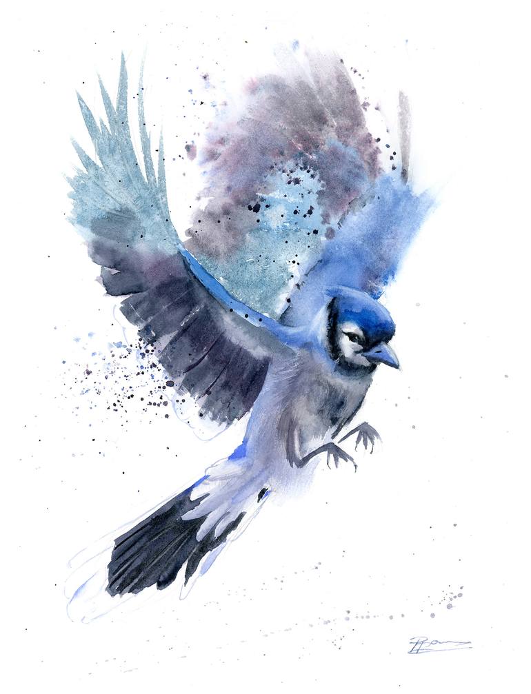 Flying Blue Jay Painting By Olga Shefranov Saatchi Art