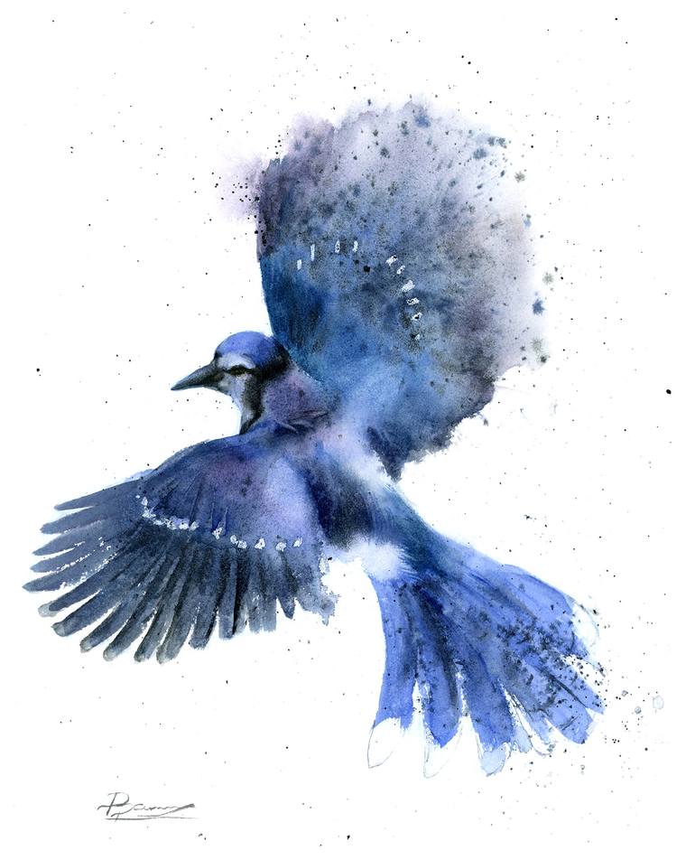 Blue Jay in Flight Painting by Olga Shefranov