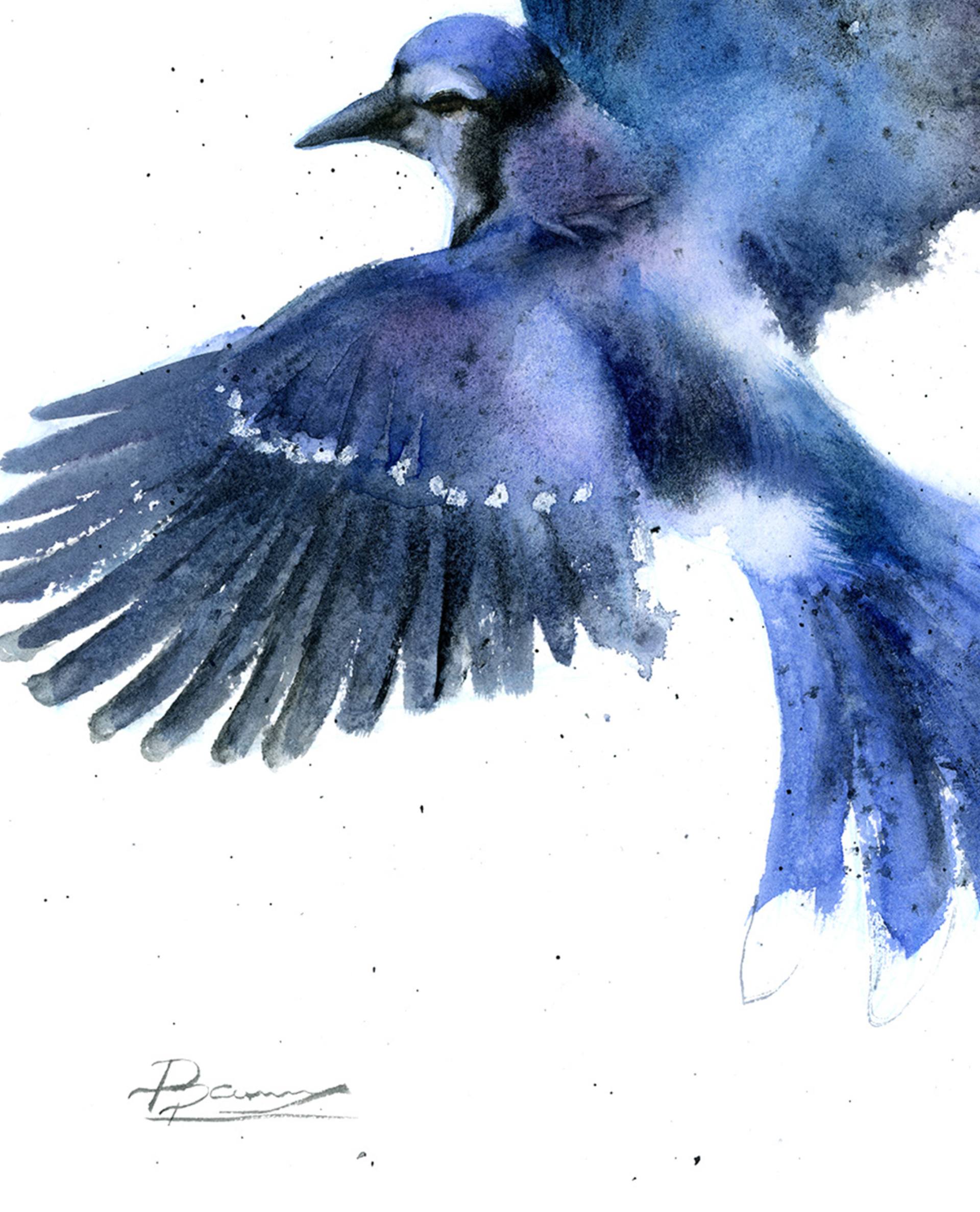 Flying Blue Jay, Painting by Paintispassion