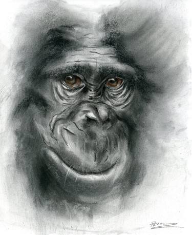 Monkey portrait (1) thumb