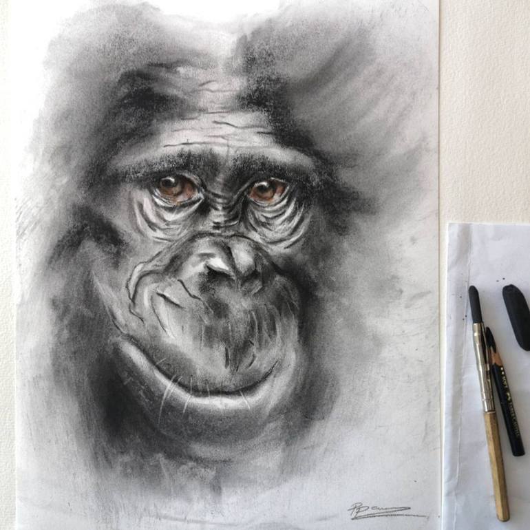 Original Animal Drawing by Olga Tchefranov