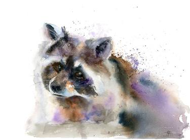 Raccoon portrait thumb