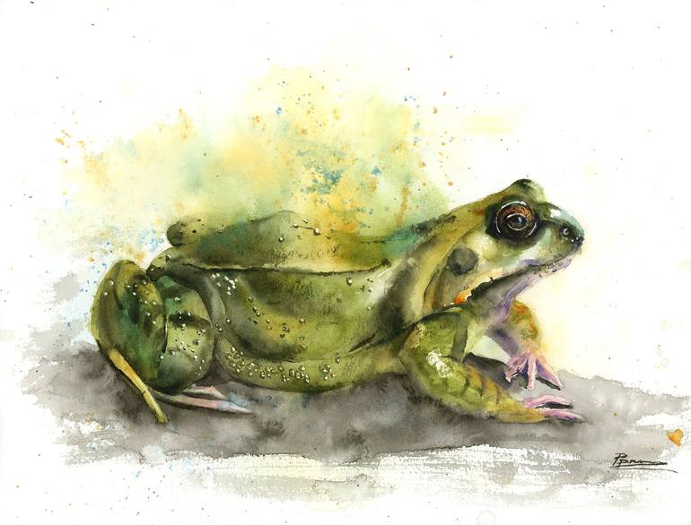 Frog - Original Watercolor Painting Painting by Olga Tchefranov