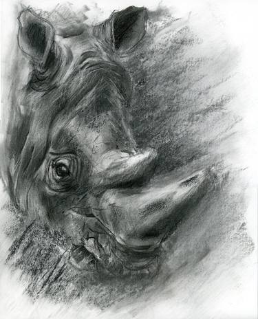 Rhino portrait thumb