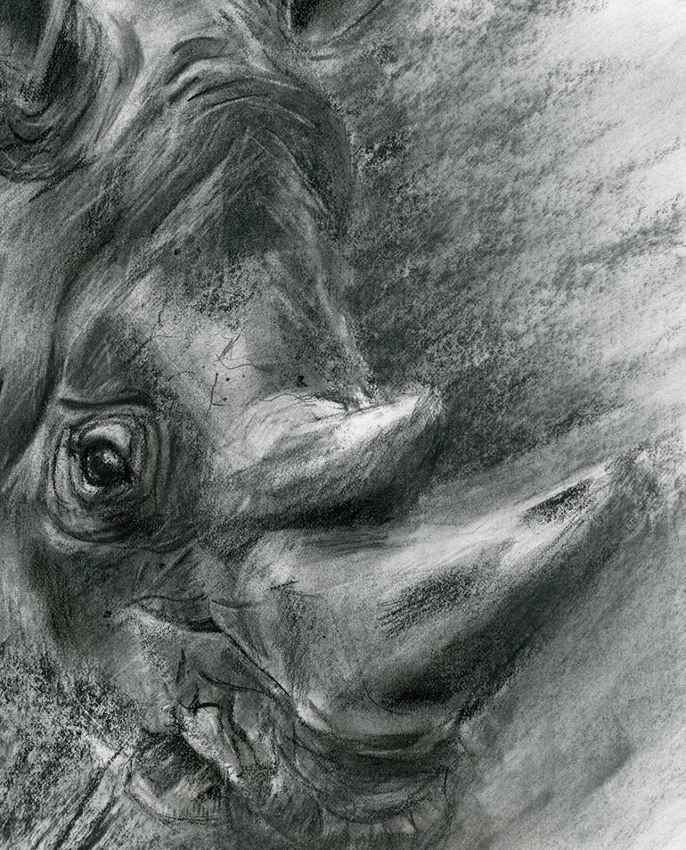 Original Fine Art Animal Drawing by Olga Tchefranov