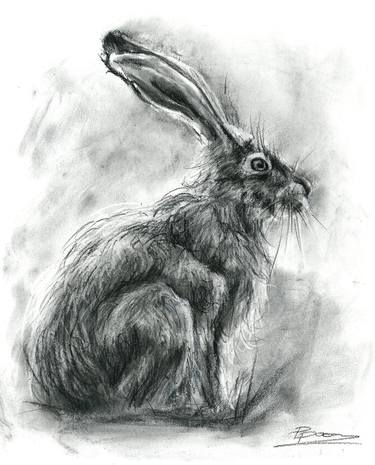 The Rabbit - Charcoal drawing thumb