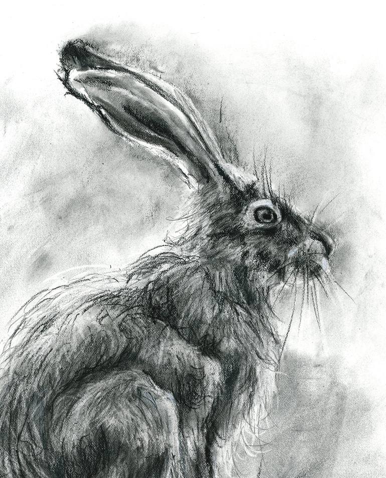 The Rabbit - Charcoal drawing Drawing by Olga Shefranov | Saatchi Art