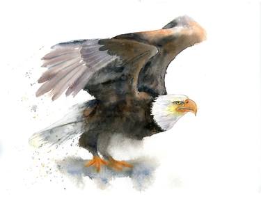 Eagle - Original Watercolor Painting thumb