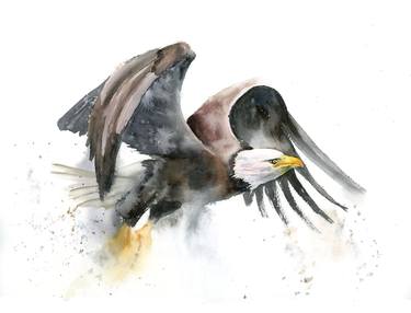 Flying Eagle - Original Watercolor Painting thumb