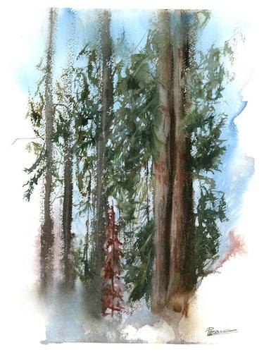 Original Tree Paintings by Olga Tchefranov