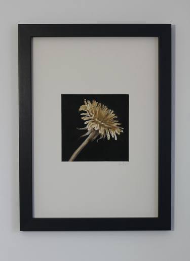 Original Documentary Botanic Paintings by Phil Lambert