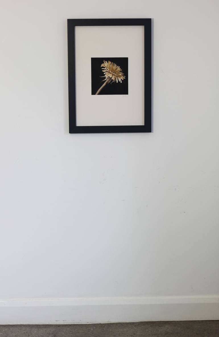 Original Documentary Botanic Painting by Phil Lambert