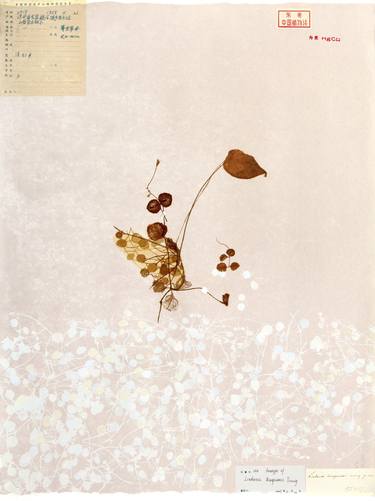 Print of Nature Printmaking by Wenjia Jiang
