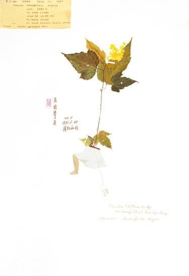 Print of Fine Art Nature Printmaking by Wenjia Jiang