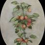view additional image 1