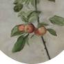 photorealism - still life - plant - autumn fruits