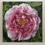 photorealism - still life - plant - peony flower
