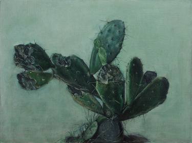 still life - plant - cactus thumb