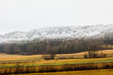 Winterscape in Austria - Limited Edition 1 of 5 thumb