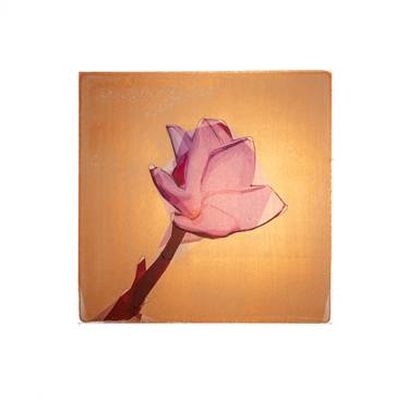 Original Conceptual Botanic Mixed Media by Bulent Unsal