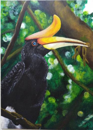 The Hornbill of Brunei thumb