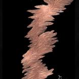 Abstract desing by Priti Biscuitwala