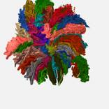 Abstract flower vase by Priti Biscuitwala