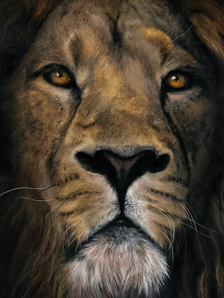 Original Photorealism Animal Paintings by Paul Hardern
