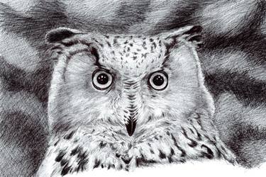 Print of Fine Art Animal Drawings by Walkure Hauk