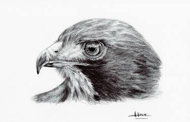 Print of Realism Animal Drawings by Walkure Hauk