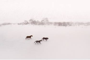 Horses in Blizzard - Limited Edition 2 of 25 thumb