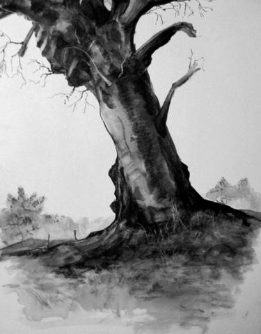 Original Fine Art Landscape Drawings by Christopher Vasil