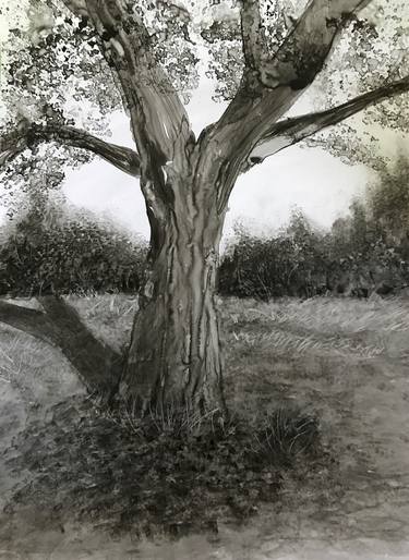 Original Tree Paintings by Christopher Vasil