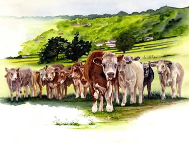 Original Cows Painting by Jill Y Crouch