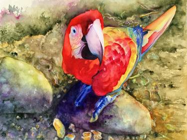 Original Nature Painting by Jill Y Crouch
