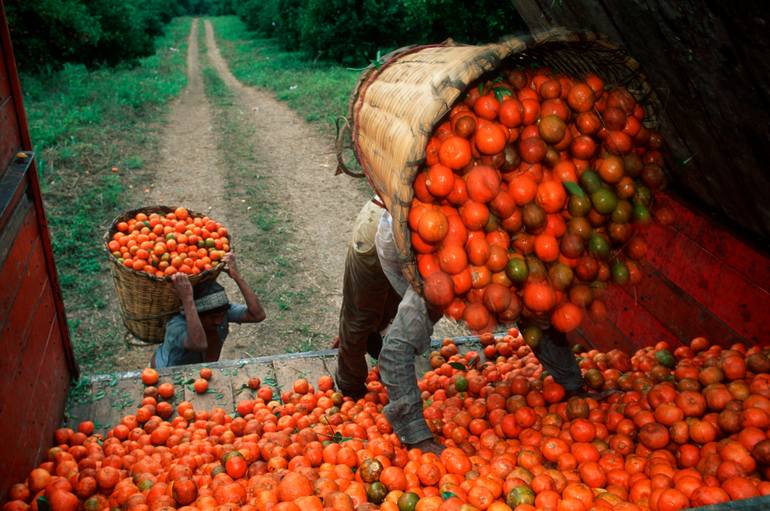 Original Documentary Landscape Photography by Russell Gordon