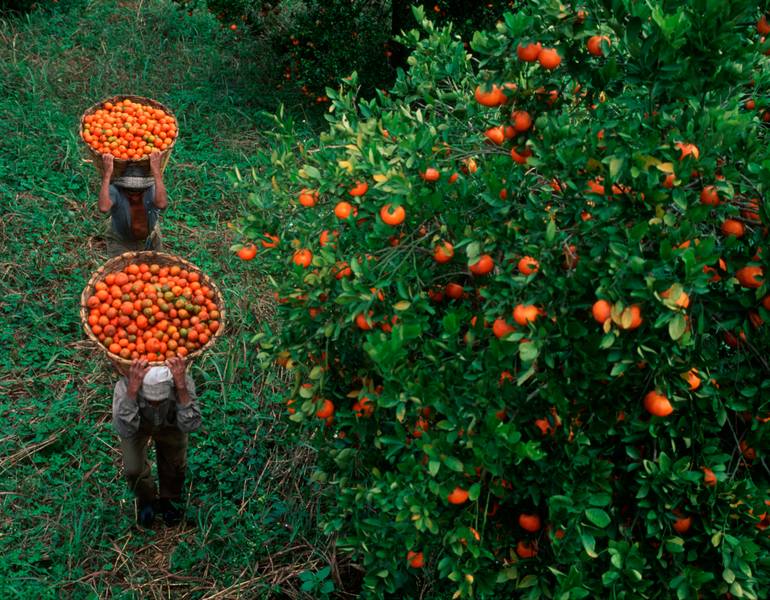 Original Documentary Landscape Photography by Russell Gordon