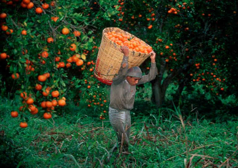 Original Documentary Landscape Photography by Russell Gordon