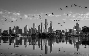 Cormorant city skyline: Melbourne Australia thumb