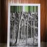 Landscape on Landscape , mounted on sintra, ready to deliver without framing