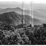 view additional image 1