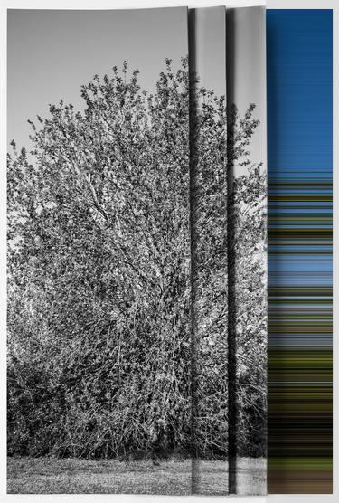 Saatchi Art Artist Andrea Alkalay; Photography, “Landscape on Landscape: Cod:3FA3DF - Limited Edition of 6” #art
