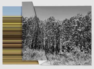 Saatchi Art Artist Andrea Alkalay; Photography, “Landscape on Landscape  Cod #D5BE75 - Limited Edition of 6” #art