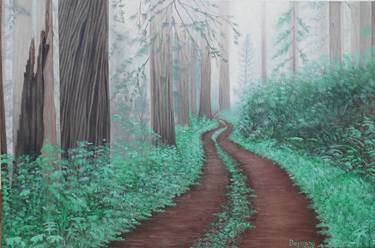 camino por bosque con niebla thumb